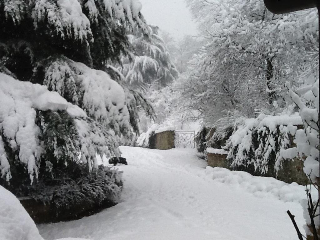 Apartamento Cascina Bricco Ovada Exterior foto